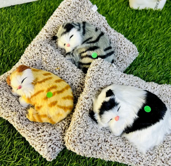 Car Dashboard Sleeping Cat Big Plush