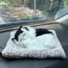 Car Dashboard Sleeping Cat Big Plush